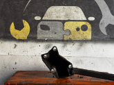 Oto Çıkma Parça / Seat / Leon / Motor / Bağlantı Braketi / Çıkma Parça 