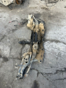 Oto Çıkma Parça / Volkswagen / Jetta / Alt Takım / Travers / Çıkma Parça 