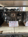 Oto Çıkma Parça / Volkswagen / Caddy / Motor / Blok / Çıkma Parça 