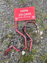 Oto Çıkma Parça / Suzuki / Swift / Kaporta & Karoser / Bagaj Menteşesi / Çıkma Parça 