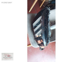 Oto Çıkma Parça / Peugeot / 2008 / Far & Stop / Sağ Ön Far / Çıkma Parça 