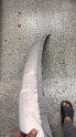 Oto Çıkma Parça / Volvo / XC40 / Tampon / Tampon Kaplaması / Çıkma Parça 