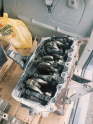 Oto Çıkma Parça / Audi / A4 / Motor / Motor (komple) / Çıkma Parça 