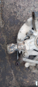Oto Çıkma Parça / Mazda / 121 / Alt Takım / Taşıyıcı / Çıkma Parça 