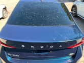 Oto Çıkma Parça / Skoda / Octavia / Kaporta & Karoser / Bagaj Kapağı / Çıkma Parça 