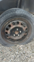 SUZUKİ JANT