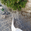 Oto Çıkma Parça / Opel / Corsa / Tampon / Arka Tampon / Çıkma Parça 