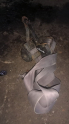 Oto Çıkma Parça / Daihatsu / Charade / Airbag / Emniyet Kemeri / Çıkma Parça 