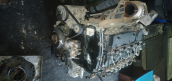Oto Çıkma Parça / Ford / Transit Custom / Motor / Motor (komple) / Çıkma Parça 