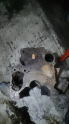 Oto Çıkma Parça / Mitsubishi / L200 / Motor / Blok / Çıkma Parça 