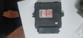 Suzuki cary motor beyni