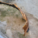 Oto Çıkma Parça / Renault / Captur / Tampon / Ön Tampon / Çıkma Parça 