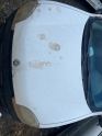RENAULT KANGOO KAPUT
