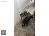 Oto Çıkma Parça / Toyota / Corolla / Şanzıman / Şanzıman Komple / Çıkma Parça 
