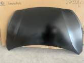 Hyundai i20  12-14 sıfır orjinal ön kaput