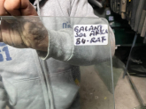 Oto Çıkma Parça / Mitsubishi / Galant / Oto Cam / Kapı Camları / Çıkma Parça 