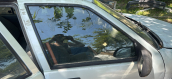 Oto Çıkma Parça / Renault / R 19 / Oto Cam / Kapı Camları / Çıkma Parça 