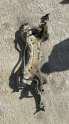 Oto Çıkma Parça / Toyota / Corolla / Alt Takım / Travers / Çıkma Parça 