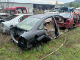 Oto Çıkma Parça / Ford / Focus / Kaporta & Karoser / Kesme Tavan Sacı / Çıkma Parça 