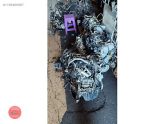Oto Çıkma Parça / Alfa Romeo / 75 / Motor / Motor (komple) / Çıkma Parça 