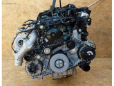 Oto Çıkma Parça / Mercedes / Sprinter / Motor / Motor (komple) / Sıfır Parça 