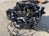 Oto Çıkma Parça / Ford / Focus / Motor / Motor (komple) / Çıkma Parça 