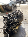 Oto Çıkma Parça / Peugeot / 301 / Motor / Blok / Çıkma Parça 