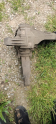 Oto Çıkma Parça / Jeep / Grand Cherokee / Defransiyel / Arka Defransiyel / Çıkma Parça 