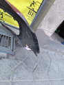 Oto Çıkma Parça / Opel / Grandland X / Tampon / Ön Tampon / Çıkma Parça 