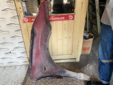Oto Çıkma Parça / Ford / Focus / Kaporta & Karoser / Sol Ön Çamurluk / Çıkma Parça 