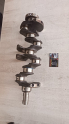 Oto Çıkma Parça / Nissan / Primera / Motor / Krank / Çıkma Parça 