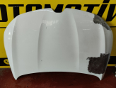 Oto Çıkma Parça / Renault / Megane / Kaporta & Karoser / Kaput / Çıkma Parça 