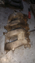 Oto Çıkma Parça / Fiat / Marea / Motor / Emme Manifoldu / Çıkma Parça 