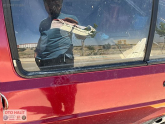 Oto Çıkma Parça / Volkswagen / Golf / Kaporta & Karoser / Sağ Ön Kapı / Çıkma Parça 