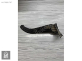 Oto Çıkma Parça / Audi / A6 / Tampon / Arka Tampon / Çıkma Parça 