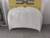 Oto Çıkma Parça / Renault / Megane / Kaporta & Karoser / Kaput / Çıkma Parça 