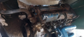 Oto Çıkma Parça / Mazda / 323 / Motor / Motor (komple) / Çıkma Parça 