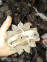 Oto Çıkma Parça / Honda / Civic / Elektrik / Şarj Dinamosu / Çıkma Parça 