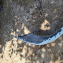Oto Çıkma Parça / Fiat / Egea / Tampon / Arka Tampon / Çıkma Parça 