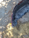 Oto Çıkma Parça / Fiat / Doblo / Tampon / Ön Tampon / Çıkma Parça 