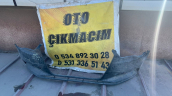 Audi A3 Ön Tampon - Orijinal Çıkma Parça - 8V5807437