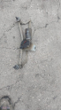 PEUGEOT 206 CAM SİLGİ MOTORU 1.4 HDİ GÜÇMANLAR