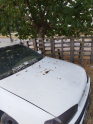 Oto Çıkma Parça / Hyundai / Accent / Kaporta & Karoser / Kaput / Çıkma Parça 