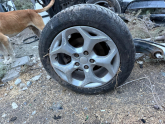 Oto Çıkma Parça / Ford / Focus / Alt Takım / Arka Dingil / Çıkma Parça 