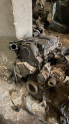 Oto Çıkma Parça / Volkswagen / Polo / Motor / Motor (komple) / Çıkma Parça 