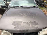 Oto Çıkma Parça / Opel / Senator / Kaporta & Karoser / Kaput / Çıkma Parça 