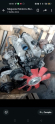 Tm 30 Levent 80 Turbolu motor