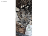 Oto Çıkma Parça / Opel / Meriva / Şanzıman / Şanzıman Komple / Çıkma Parça 