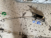 Oto Çıkma Parça / Chevrolet / Lacetti / Koltuk & Döşeme / İç Kapı Kolu / Çıkma Parça 