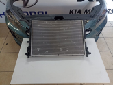 Oto Çıkma Parça / Hyundai / Ioniq Hybrid / Radyatör / Su Radyatörü / Çıkma Parça 